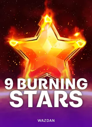 WZD 9 Burning Stars™ เกมสล็อต - ความเป็นส่วนตัวและเงื่อนไข